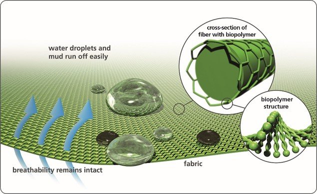 evo Bike Shorts -Outlet The Ride Gearz Store ecorepel